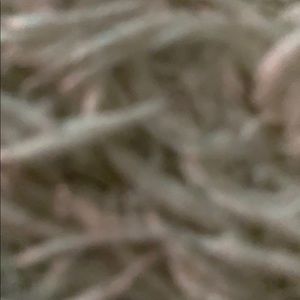 Meet your Posher, Tushe